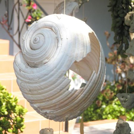 Aeolos Studios Kefalonia Khelmáta Exteriör bild