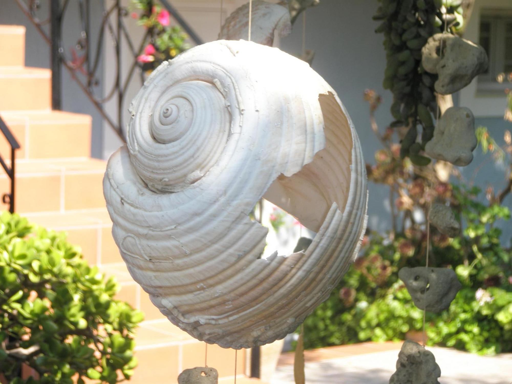Aeolos Studios Kefalonia Khelmáta Exteriör bild